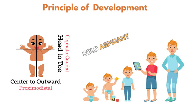 principle of growth and development, growth and development BEd notes Kolhan University