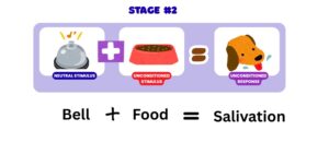 Classical Conditioning, Pavlov's experiment BEd Notes