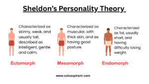 types of personality, personality bed notes